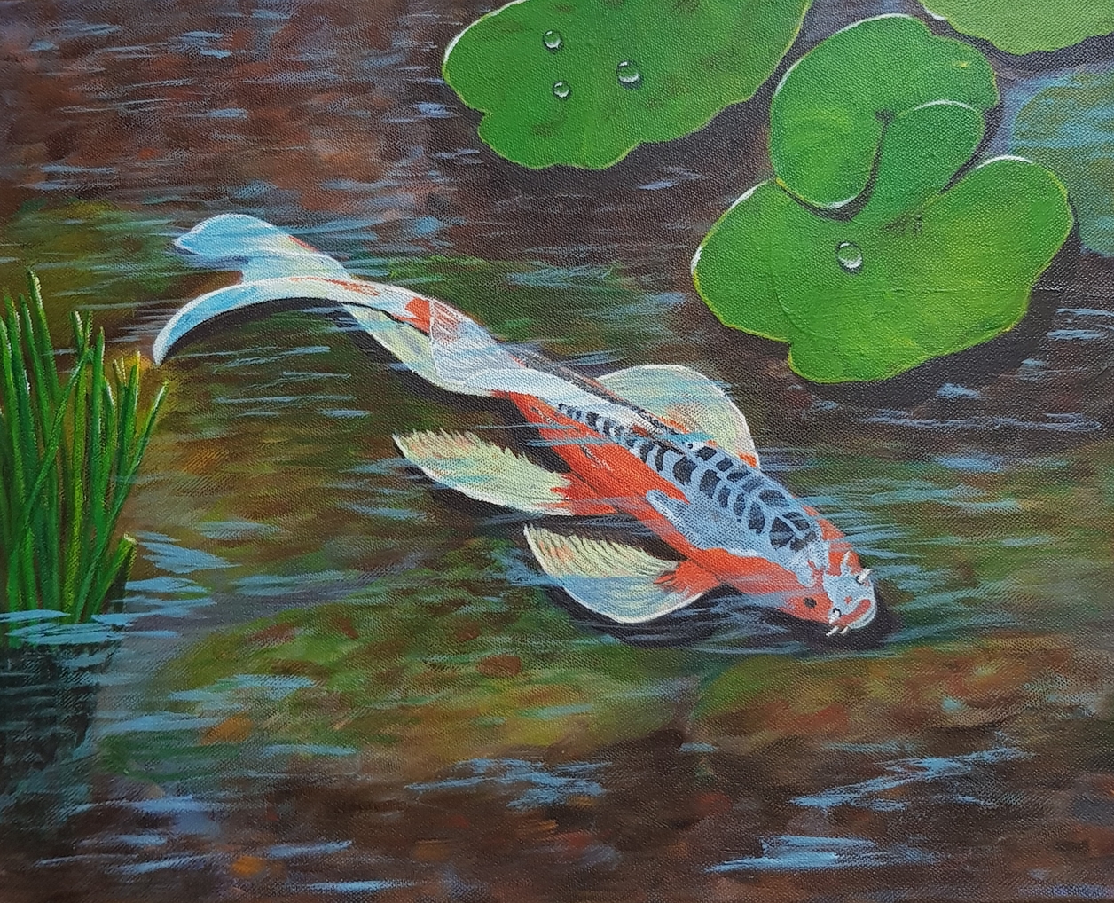 Bunter Koi